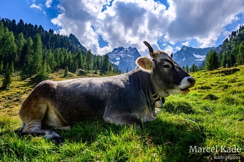  | NIKON Z 6 @ 20mm | 1/1250 s,  &fnof;/8, ISO 100