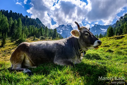 Alpen 00005