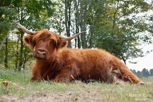  | X100VI @ 23mm | 1/480 s,  &fnof;/2.5, ISO 250