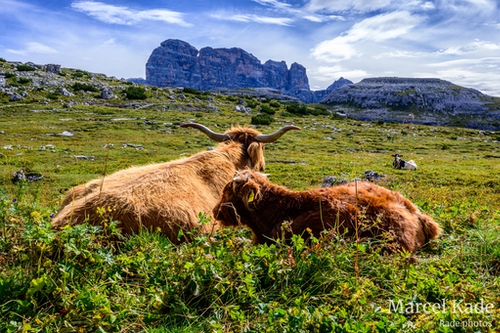  | NIKON Z 6 @ 28mm | 1/50 s,  &fnof;/18, ISO 110