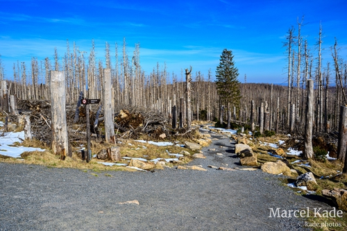  | NIKON Z 6 @ 30mm | 1/500 s,  &fnof;/8, ISO 100