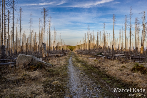  | NIKON Z 6 @ 23mm | 1/125 s,  &fnof;/8, ISO 100