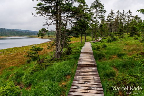  | Sony a6300 @ 16mm | 1/160 s,  &fnof;/8, ISO 100