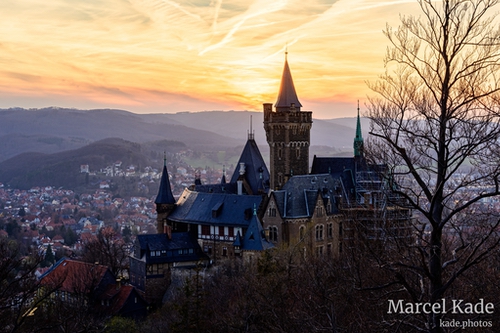  | NIKON Z 6 @ 50mm | 1/1000 s,  &fnof;/8, ISO 100