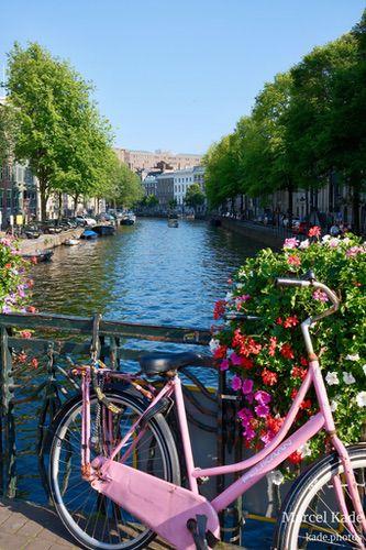  | X100VI @ 23mm | 1/180 s,  &fnof;/8, ISO 250