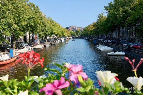  | X100VI @ 23mm | 1/220 s,  &fnof;/8, ISO 250