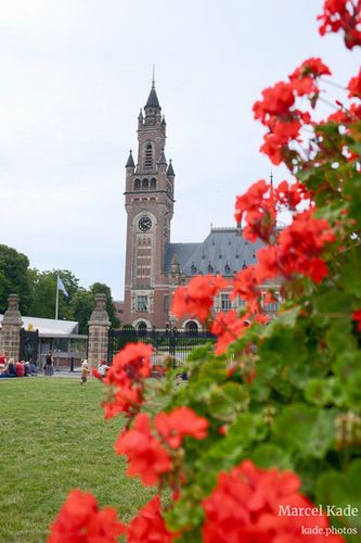  | X100VI @ 23mm | 1/2200 s,  &fnof;/2.8, ISO 250