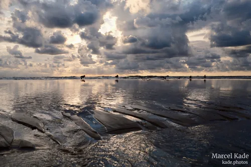 Strand meer 00005