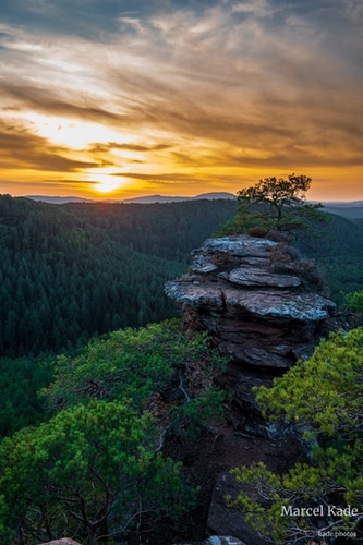  | NIKON Z 6 @ 23mm | 1/50 s,  &fnof;/8, ISO 220