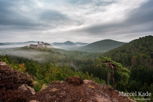  | NIKON Z 6 @ 17mm | 1/5 s,  &fnof;/8, ISO 100