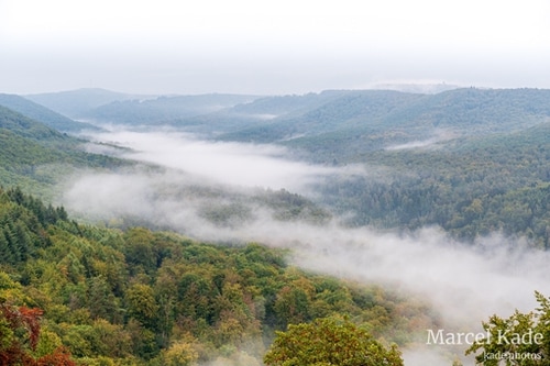  | NIKON Z 6 @ 70mm | 1/5 s,  &fnof;/8, ISO 100