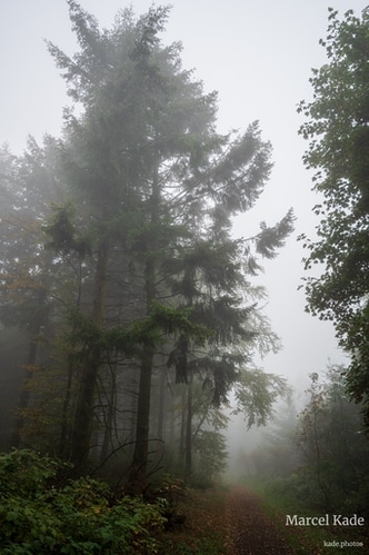  | NIKON Z 6 @ 22mm | 1/100 s,  &fnof;/4, ISO 100