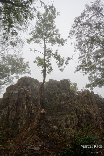  | NIKON Z 6 @ 20mm | 1/100 s,  &fnof;/8, ISO 100