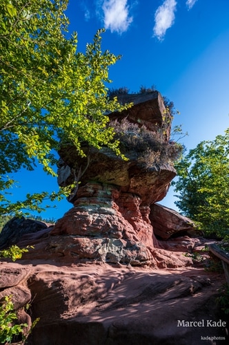  | NIKON Z 6 @ 14mm | 1/125 s,  &fnof;/8, ISO 100