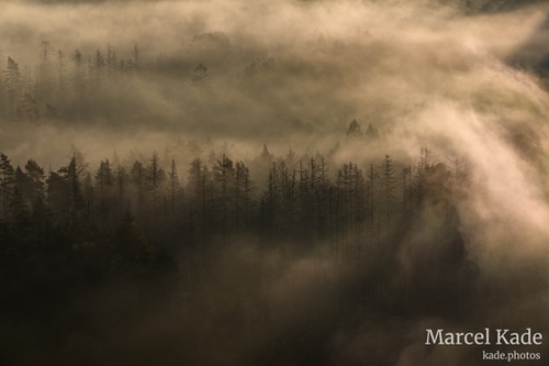  | NIKON Z 6 @ 180mm | 1/160 s,  &fnof;/18, ISO 100