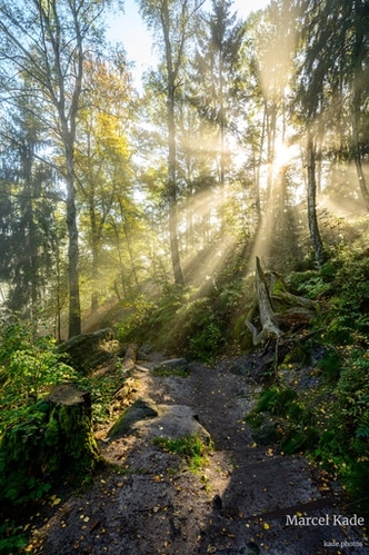  | NIKON Z 6 @ 17mm | 1/50 s,  &fnof;/8, ISO 200