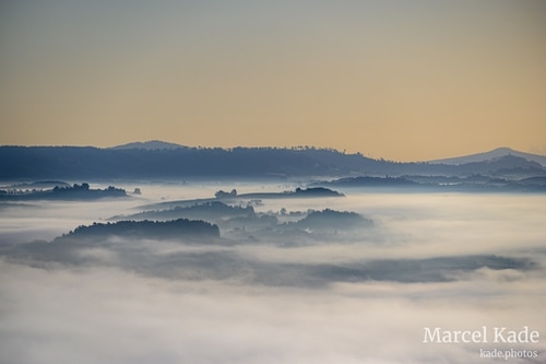  | NIKON Z 6 @ 240mm | 1/2000 s,  &fnof;/8, ISO 100