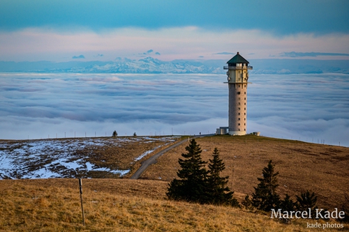  | NIKON Z 6 @ 300mm | 1/320 s,  &fnof;/8, ISO 100