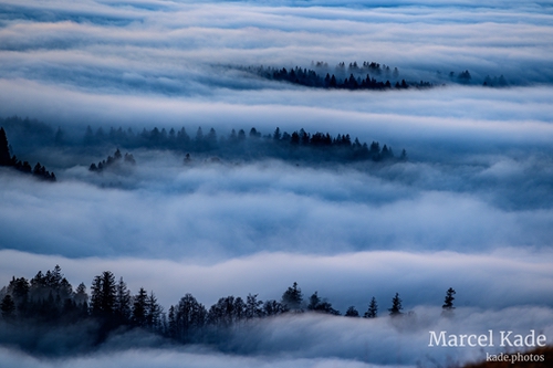  | NIKON Z 6 @ 300mm | 1/50 s,  &fnof;/8, ISO 160