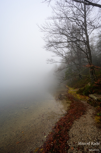  | NIKON Z 6 @ 14mm | 1/80 s,  &fnof;/8, ISO 100