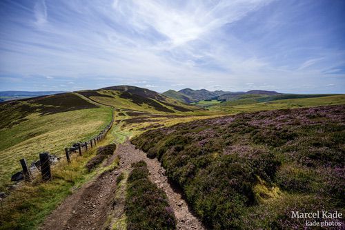  | NIKON Z 6 @ 14mm | 1/1000 s,  &fnof;/4.5, ISO 100